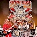 Skynfolks Band image